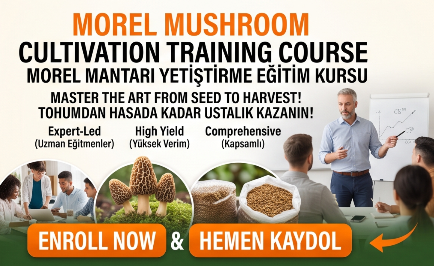 Morel Artificial Planting Technology Training Class Field Practical Hands-on Instruction / 羊肚菌人工栽培技术培训班现场教学实操
