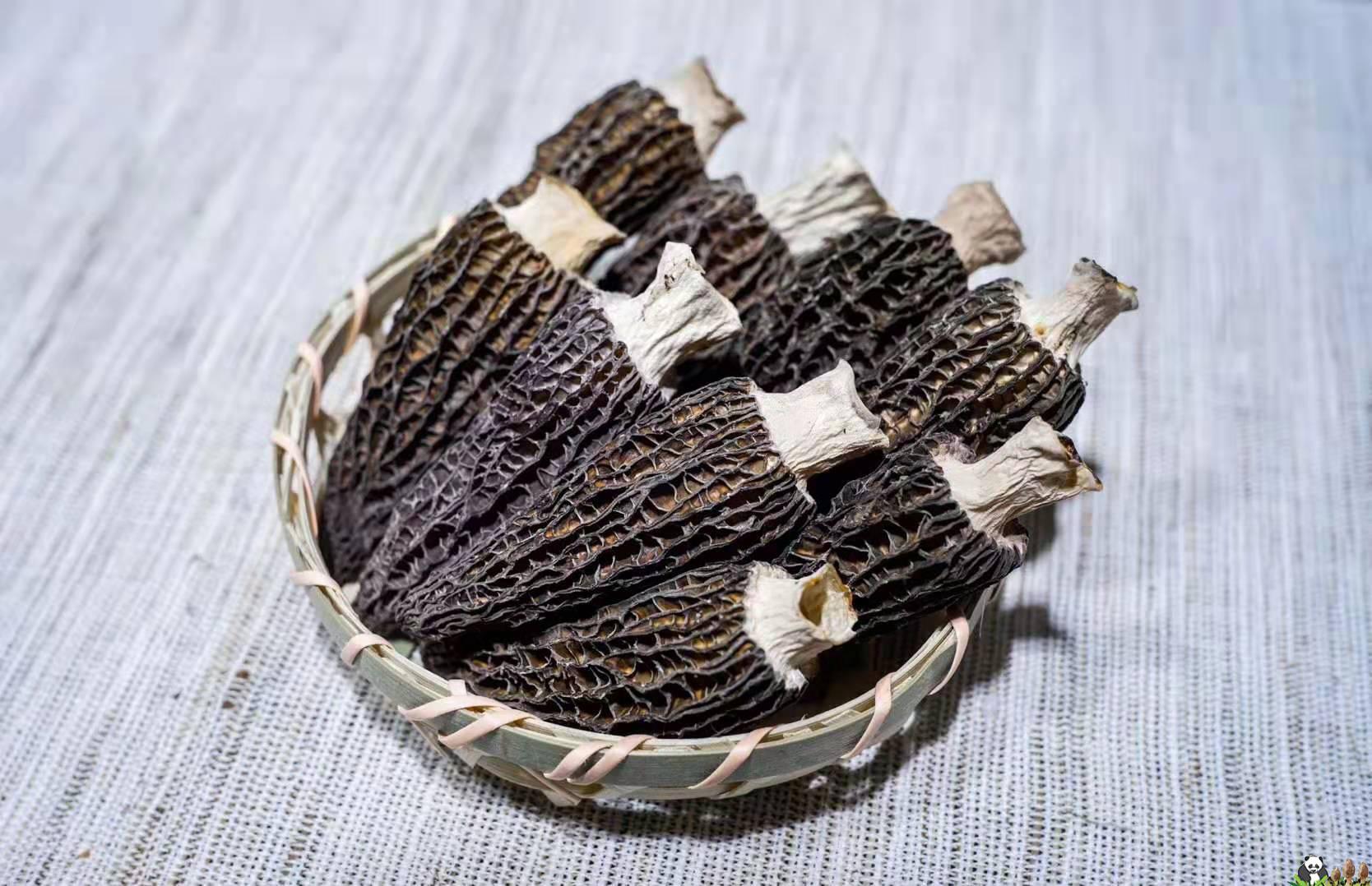 Premium Export Dried Morel Mushroom