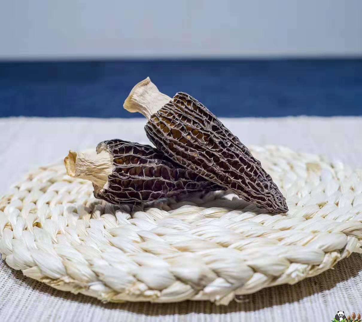 Productos y Hongos photo