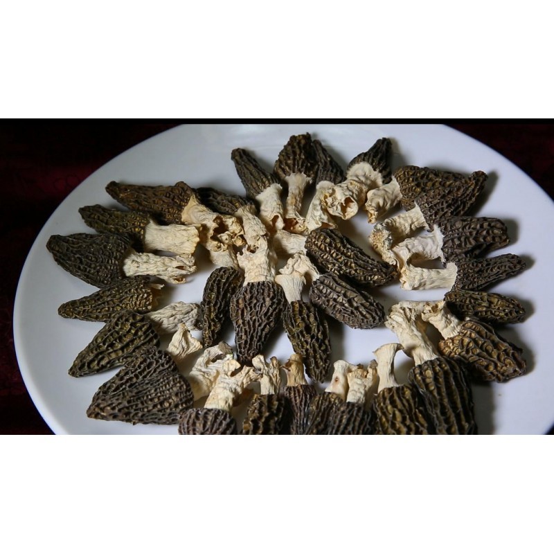 Dried Morel Canned Gift Box