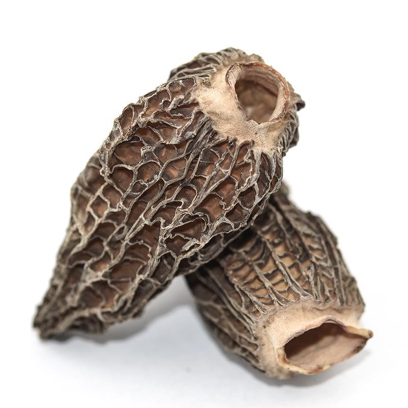 Phytosanitary Certified Morel Mushroom Bulk Shipment / 附带植物检疫证明大货交付