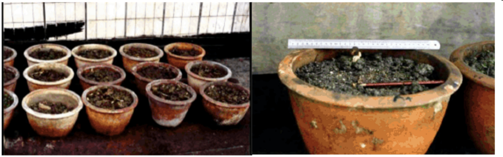 2000 Sichuan First Successful ENB Pot Experiment
